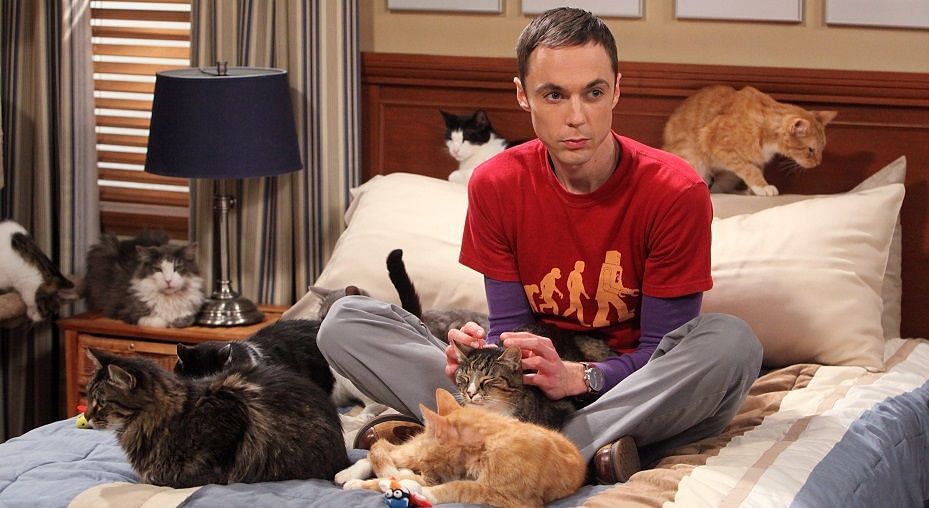 Which college did Sheldon attend in The Big Bang Theory?